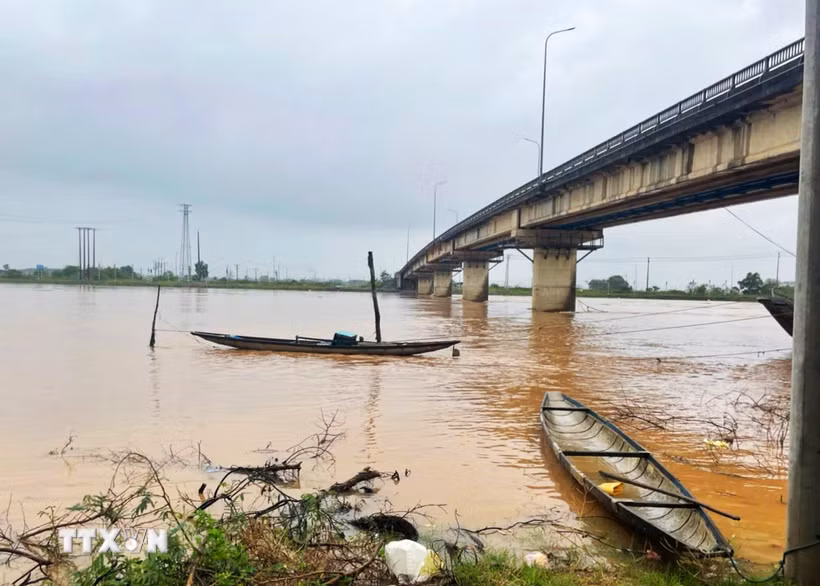  (Ảnh minh họa: Tường Vi/TTXVN.)
