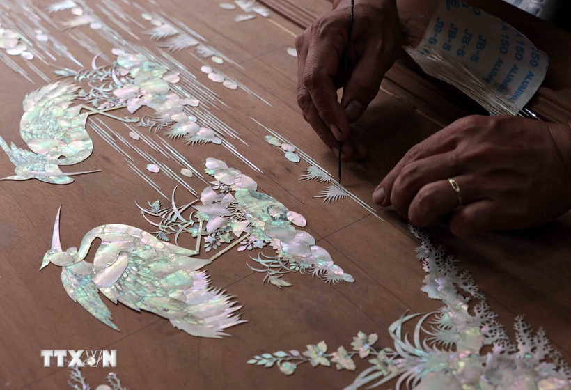 Đặt mẫu trai trên gỗ trước khi đục mảnh. (Ảnh: Trần Việt/TTXVN)