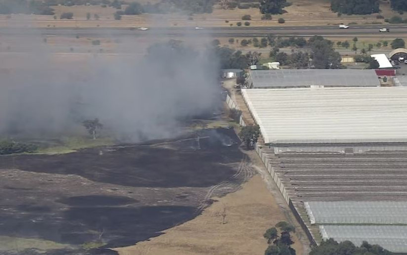 Vụ cháy Bullsbrook đang lan rộng gần một trang trại dâu tây trên đường Davidson. (Ảnh: ABC News )