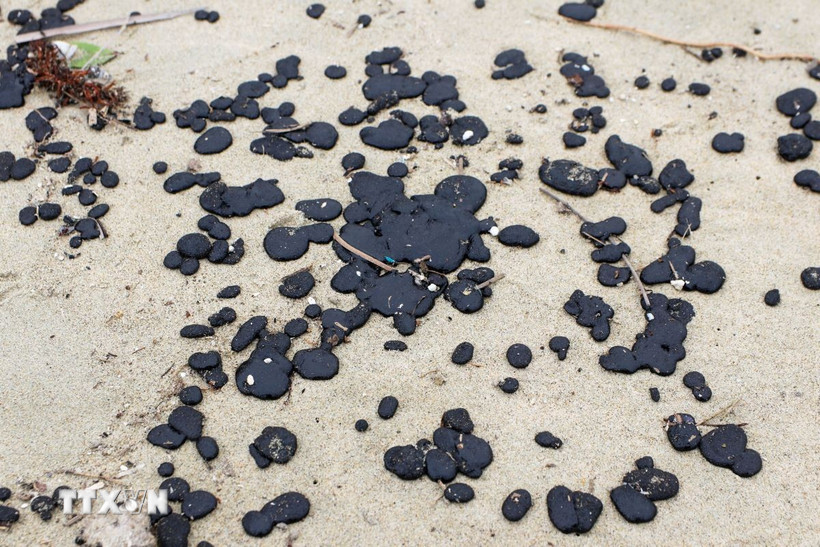 Dầu thô vón cục bám vào cát trải dài trên khoảng 7km bờ biển. (Ảnh: Tường Vi/TTXVN)
