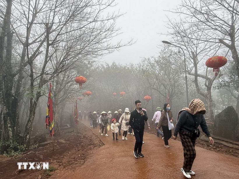 (Ảnh minh họa. TTXVN phát)