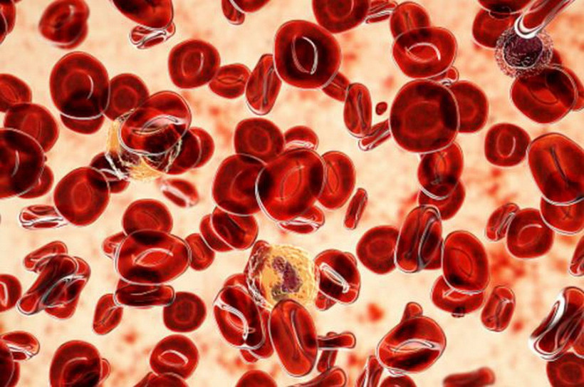 (Ảnh: Getty images)