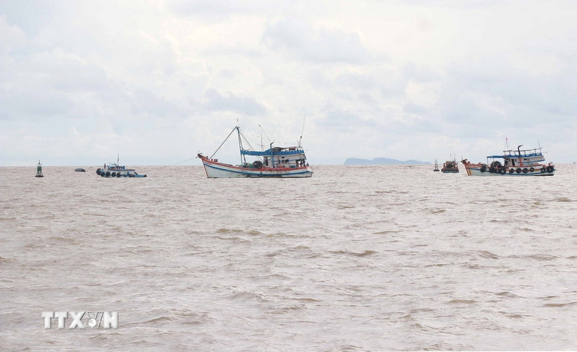 Công tác chống khai thác IUU là nhiệm vụ cấp bách, có ý nghĩa lâu dài đối với phát triển bền vững ngành thủy sản. (Ảnh: Huỳnh Anh/TTXVN)