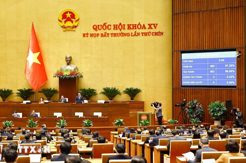 Đoàn đại biểu Quốc hội tỉnh Hà Tĩnh biểu quyết thông qua Luật Tổ chức Chính phủ (sửa đổi). (Ảnh: Doãn Tấn/TTXVN)