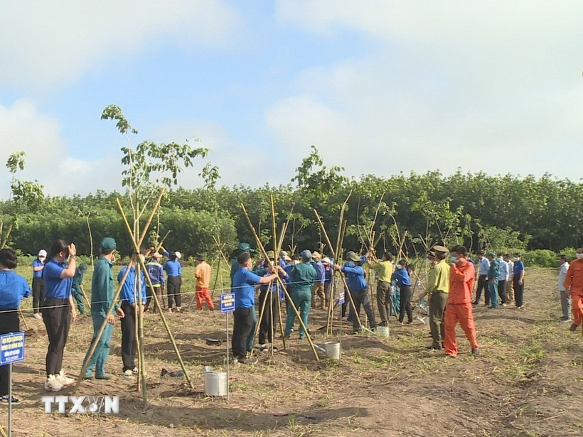 Phát động trồng cây xanh. (Ảnh: K GỬIH/TTXVN)