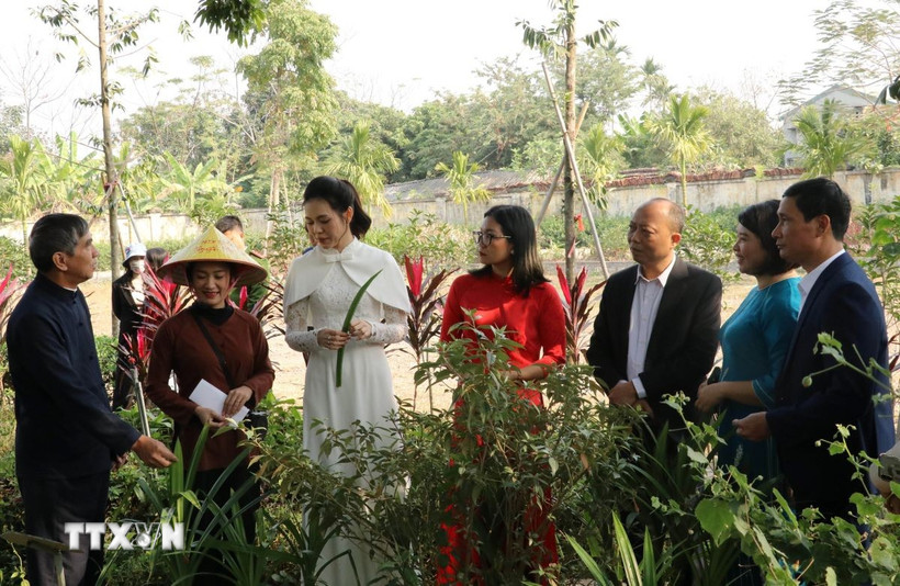 Du khách tham quan "Vườn thuốc đời người" trong Tour du lịch tìm về cội nguồn. (Ảnh: Hải Yến/TTXVN)