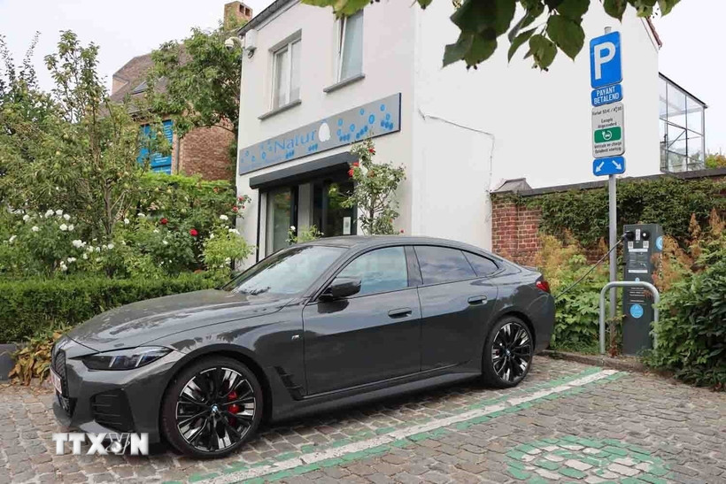 (Ảnh minh họa. Hương Giang/TTXVN)