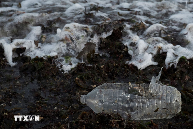 Rác thải nhựa trên bờ biển Grandcamp-Maisy, Normandy, Tây Bắc Pháp. (Ảnh: TTXVN/pháp)