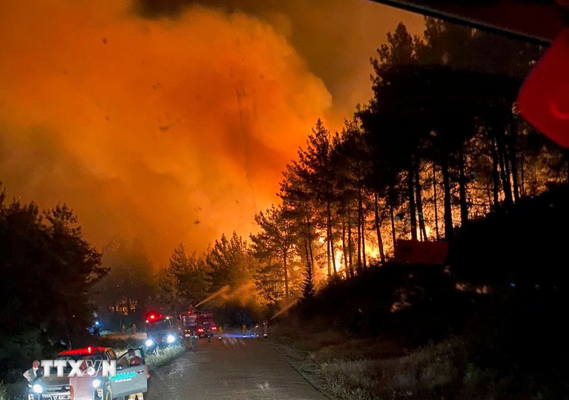 Cháy rừng tại tỉnh Canakkale, Tây Bắc Thổ Nhĩ Kỳ. (Ảnh: THX/TTXVN)