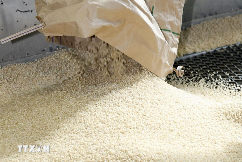 (Ảnh: Kyodo/TTXVN)