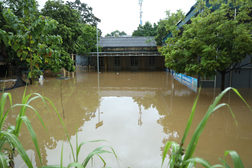 Mưa lớn gây ngập úng cục bộ nhiều nơi trên địa bàn tỉnh Tuyên Quang. (Ảnh: Quang Cường/TTXVN)