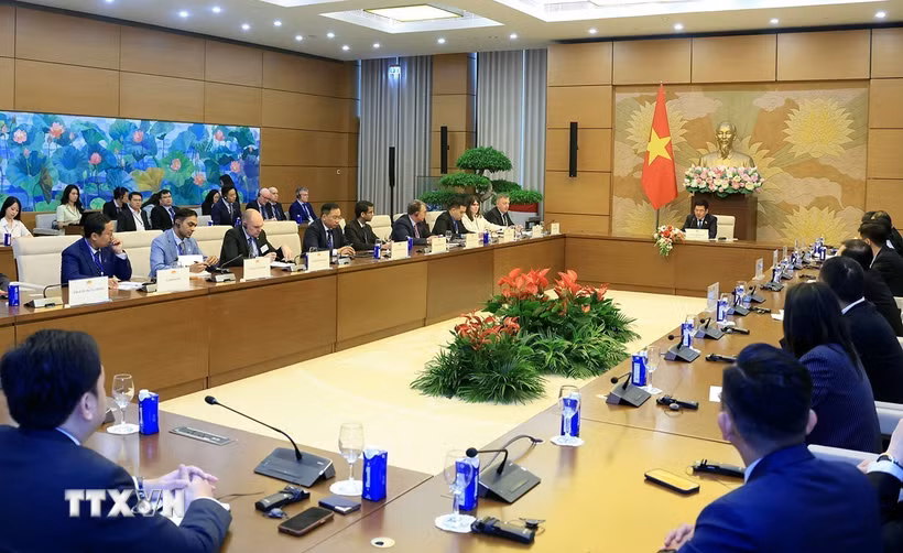 Phó Chủ tịch Quốc hội Nguyễn Hồng Diên tiếp đoàn Hội đồng Năng lượng Gió Toàn cầu. (Ảnh: Tuấn Anh/TTXVN)