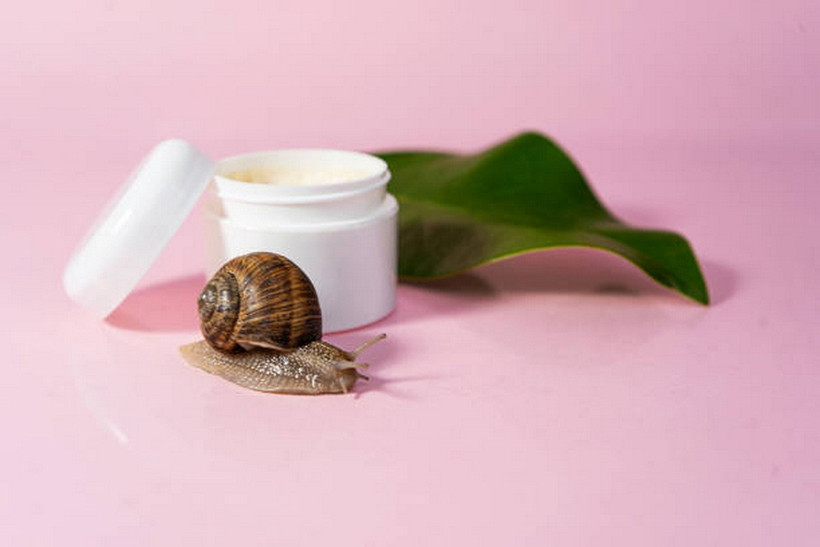 (Ảnh: Getty images)