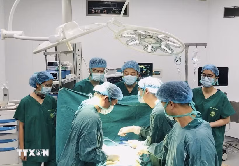 (Ảnh minh họa: TTXVN phát)