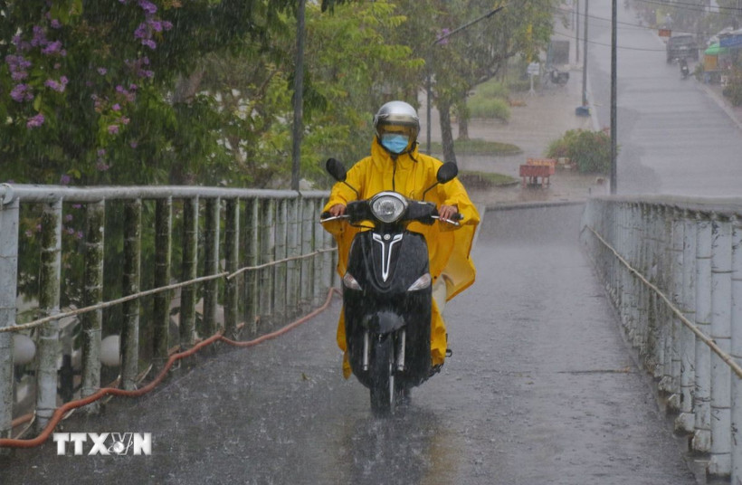 (Ảnh: Duy Khương/TTXVN)