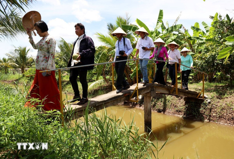Du lịch sinh thái mang đặc trưng miệt vườn ở cù lao Bảo, tỉnh Bến Tre. (Ảnh: Hồng Đạt/TTXVN)