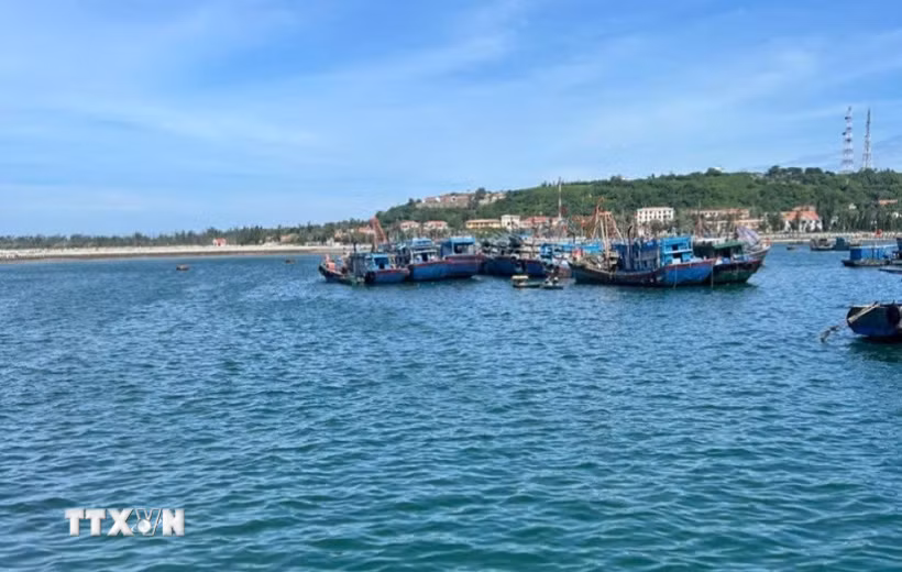 Âu cảng tại Đặc khu Bạch Long Vĩ. (Ảnh minh họa. Tiến Vĩnh/TTXVN)