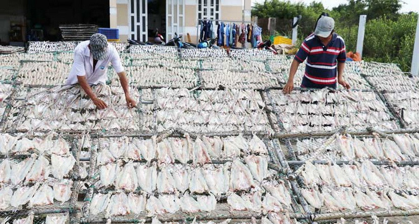 Làng cá khô Gia Thuận. (Ảnh: Báo Đồng Tháp)