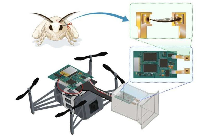 (Ảnh minh họa. Nguồn: shunlongwei)