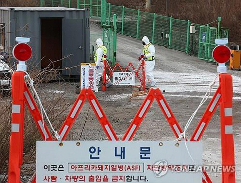 (Ảnh minh họa. Nguồn: Yonhap)