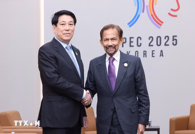Chủ tịch nước Lương Cường gặp Quốc vương Brunei Hassanal Bolkiah. (Ảnh: Lâm Khánh/TTXVN)