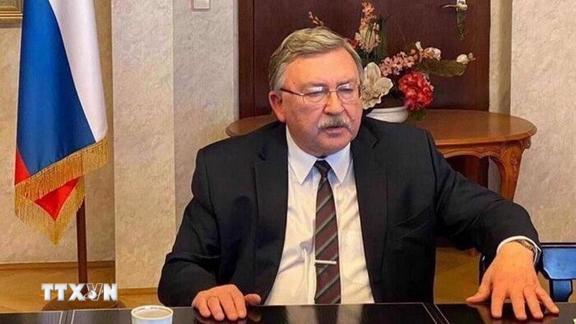 Đại diện thường trực của Nga tại các tổ chức quốc tế ở Vienna (Áo) Mikhail Ulyanov. (Ảnh: IRNA/TTXVN)