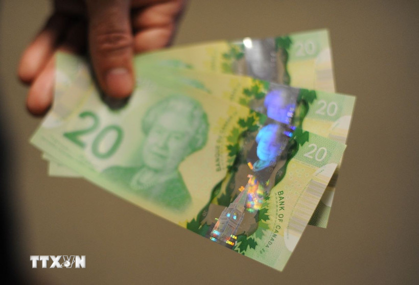 Đồng tiền mệnh giá 20 đôla Canada. (Ảnh: AFP/TTXVN)