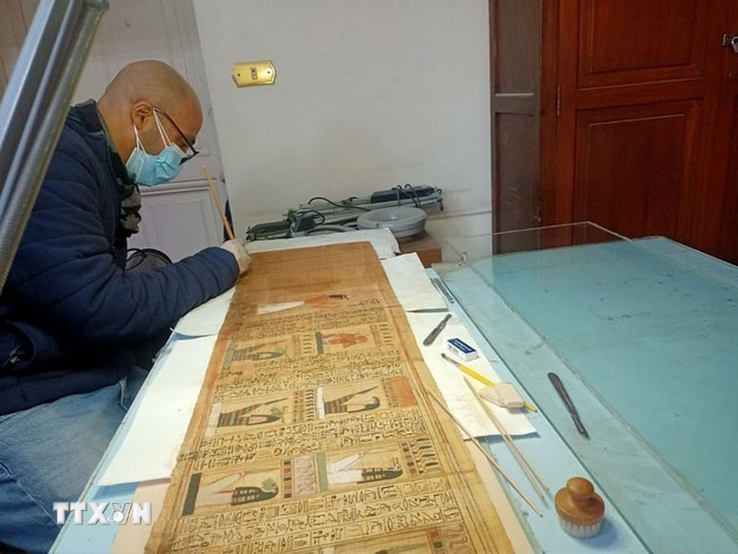 Chuyên gia Phòng thí nghiệm Bảo tồn Giấy cói của bảo tàng đang phục chế cuộn giấy cói của người ghi chép User-Hat-Mes. (Ảnh: TTXVN phát)