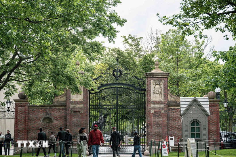 Khuôn viên Đại học Harvard ở Cambridge, bang Massachusetts, Mỹ. (Ảnh: THX/TTXVN)