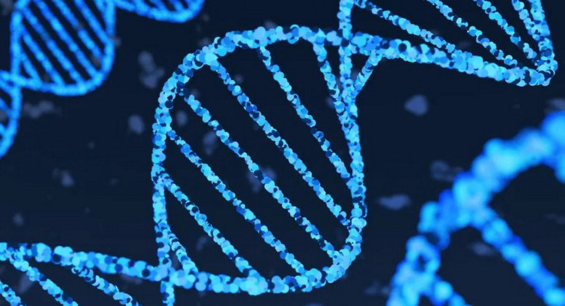 (Ảnh minh họa. Nguồn: Getty images)