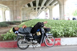 [Photo] Trốn nắng, người lao động ngủ trưa dưới gầm đường trên cao 