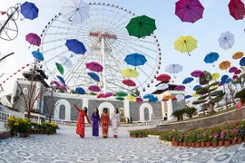 Đà Nẵng: Hơn 100 loài hoa xuân khoe sắc ở Công viên châu Á 