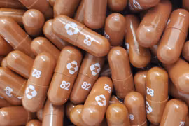 Mỹ: FDA khuyến nghị sử dụng thuốc Molnupiravir trong điều trị COVID-19