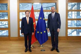 Chủ tịch Hội đồng châu Âu Charles Michel (phải) tiếp Đại sứ Nguyễn Văn Thảo. (Ảnh: European Union/TTXVN)