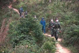 An Giang xử lý nghiêm tổ chức, cá nhân đưa người nhập cảnh trái phép