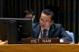 Việt Nam đề cao tầm quan trọng của việc bầu cử đúng thời hạn ở Libya