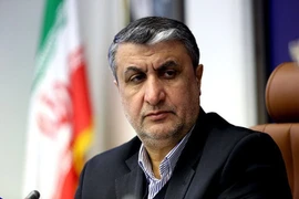 Iran cam kết không làm giàu urani quá 60% cho dù Mỹ duy trì trừng phạt