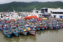 Quảng Trị hoàn thành sắp xếp thuyền tránh trú trước 12 giờ ngày 7/10