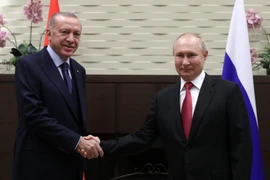 Thổ Nhĩ Kỳ tuyên bố sẵn sàng làm trung gian hòa giải giữa Ukraine-Nga