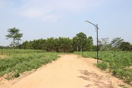 Lâm Đồng: Phát hiện nhiều sai phạm trong hiến đất làm đường để phân lô
