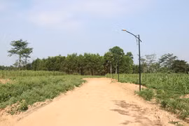 Lâm Đồng: Phát hiện nhiều sai phạm trong hiến đất làm đường để phân lô