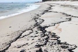 Quảng Trị lên phương án xử lý lượng dầu vón cục trôi dạt vào bờ biển