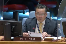 Việt Nam kêu gọi Sudan, Nam Sudan nỗ lực giải quyết tranh chấp Abyei