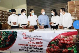 Vải thiều chinh phục thị trường EU, mở rộng thương hiệu nông sản Việt