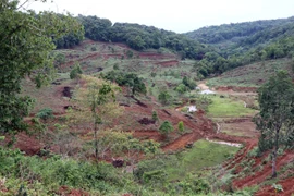 Tỉnh Kon Tum xem xét thu hồi các dự án đầu tư “treo” ở Măng Đen