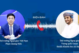 Việt Nam-Oman tăng cường hợp tác trong phòng, chống dịch COVID-19