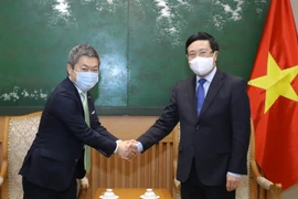 Phó Thủ tướng Phạm Bình Minh tiếp Giám đốc điều hành Tập đoàn SMFG