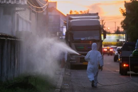 Các nước Đông Nam Á nỗ lực ứng phó với trạng thái bình thường mới