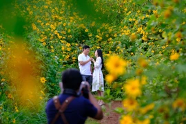 Đà Lạt dự kiến đón khoảng 60.000 lượt du khách dịp Tết Dương lịch 2022