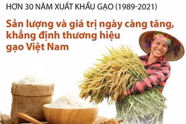 Sản lượng và giá trị gia tăng, khẳng định thương hiệu gạo Việt Nam